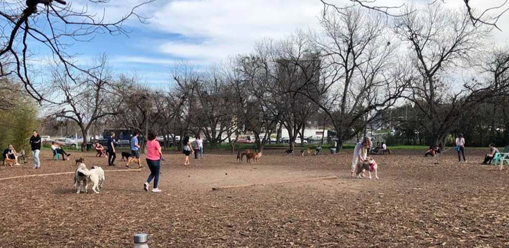 The Norwood Estate Dog Park on an overcast day