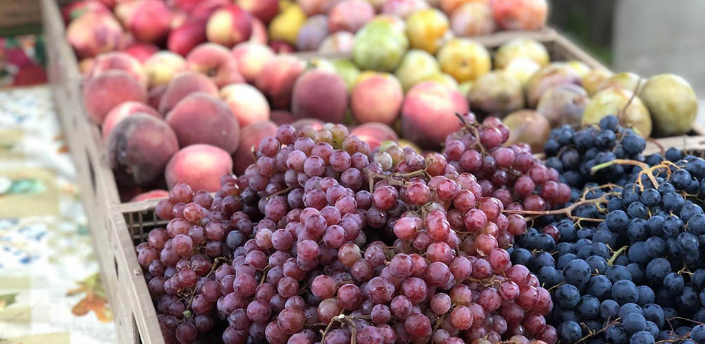 Fresh fruits from Vineyard Farmers Market