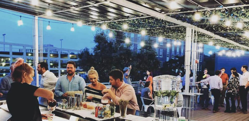 Cougars in Alabama enjoying drinks at Woolworth