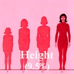 What women lie about in online dating - Height