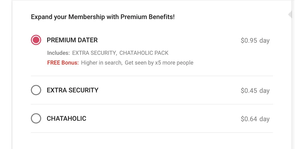 The pricing options we found in our review