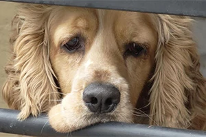 How To Get Online Dating Phone Numbers Every Time - No!