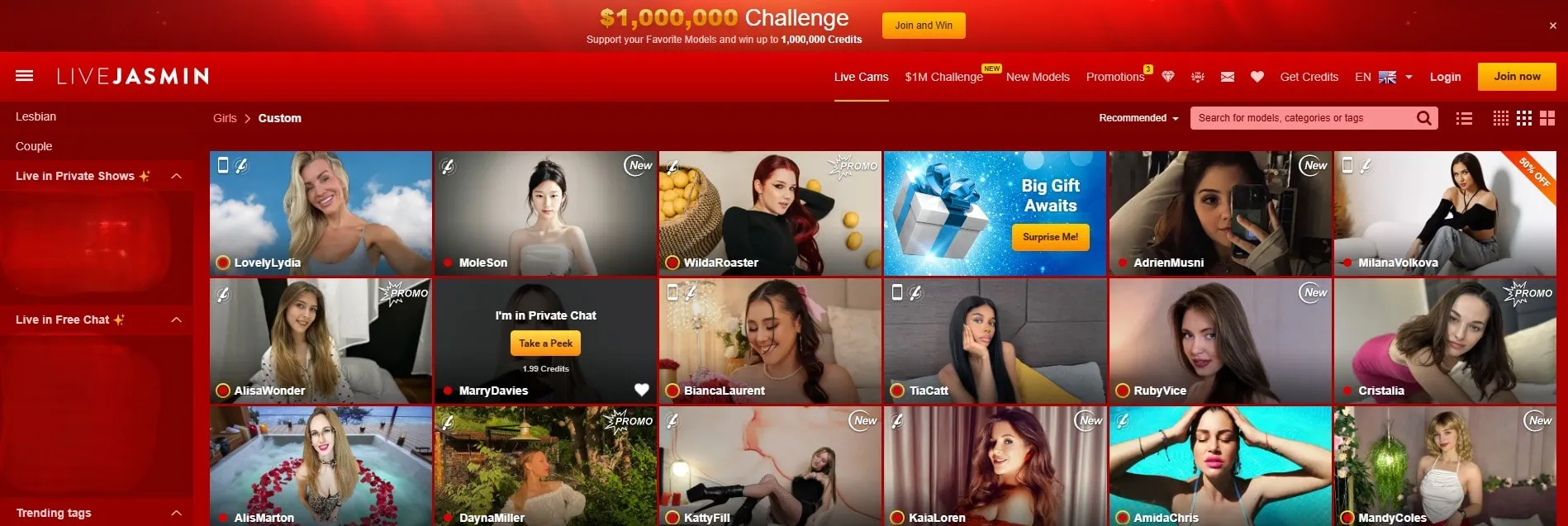 LiveJasmin Private chat